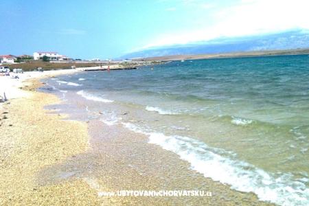 Appartements Nedić foto 3