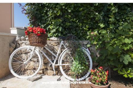 Appartements Luka foto 4