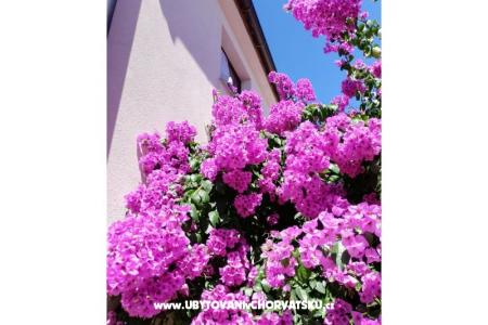 Appartements VIR-to-all foto 5