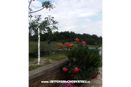 Appartements Vlašić foto 5