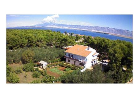 Appartements Liveric île Vir Croatie