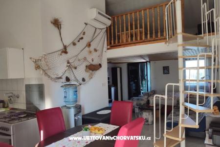 Studio apartman "Zara" île Vir Croatie