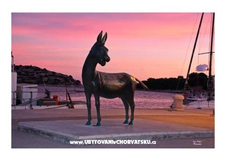 Appartements Angela Tribunj foto 4