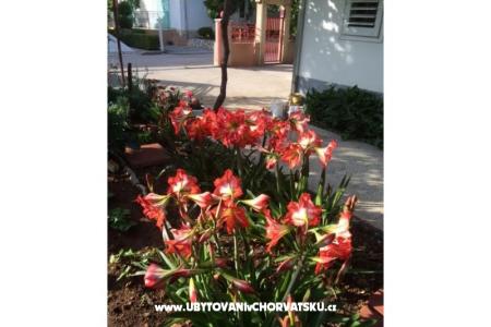 Villa Tanja *** foto 4