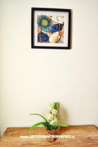 Apartman Luna foto 5