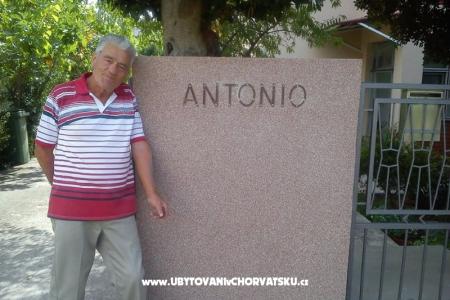 Appartements and rooms Antonio foto 3