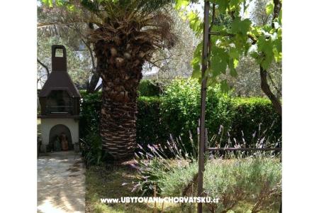 Nevena Appartements foto 5