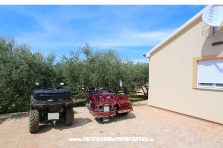 Snježana Zadar Croatie