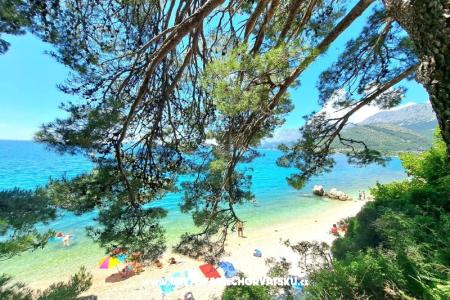 Maison de vacances Burmaz - Zaostrog – Zaostrog Croatie