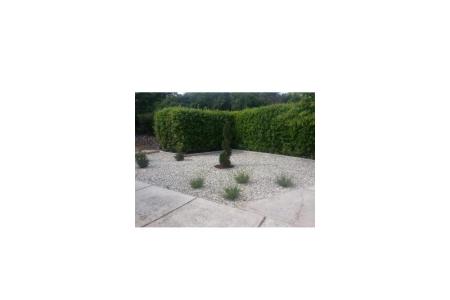 Appartements Martina foto 5