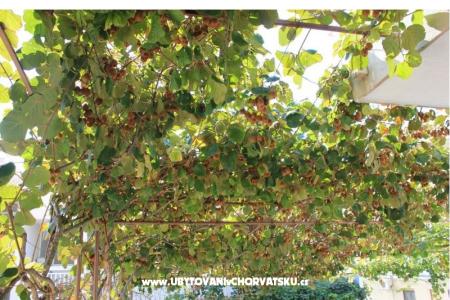 Appartements DEMS 1 foto 5