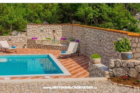 the Melody of Nature foto 5