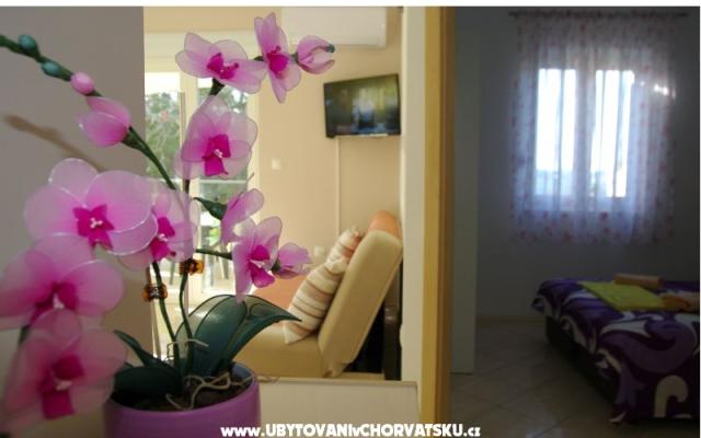 Apartmani Lovre – Hébergement Bibinje Croatie