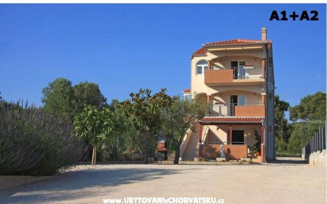 Appartements Alena – Hébergement Bibinje Croatie