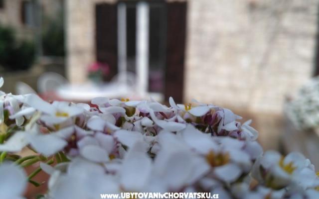 Appartements Tomislav – Hébergement île Brac Croatie