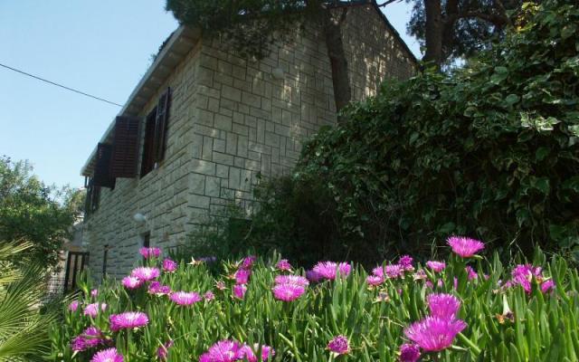 Villa Santa Lucia – Hébergement île Brac Croatie