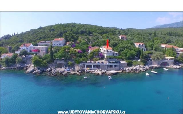 Appartements Miovic Molunat – Hébergement Dubrovnik Croatie