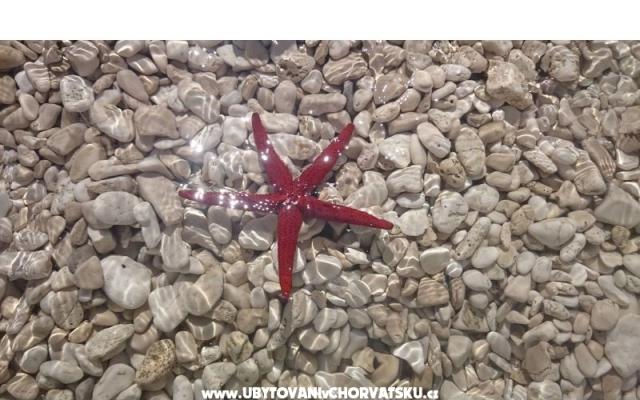 Vacation house Delić – Hébergement Dugi Rat Croatie
