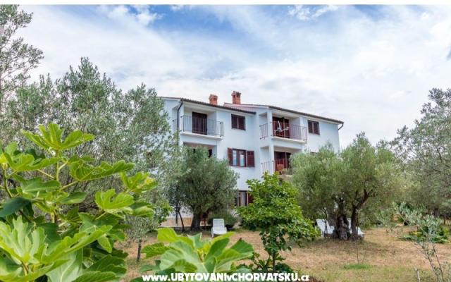 Apartmani Amalia Fažana – Hébergement Fazana Croatie