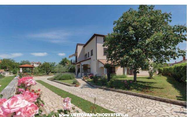 Apartman NIKOLIC – Hébergement Fazana Croatie