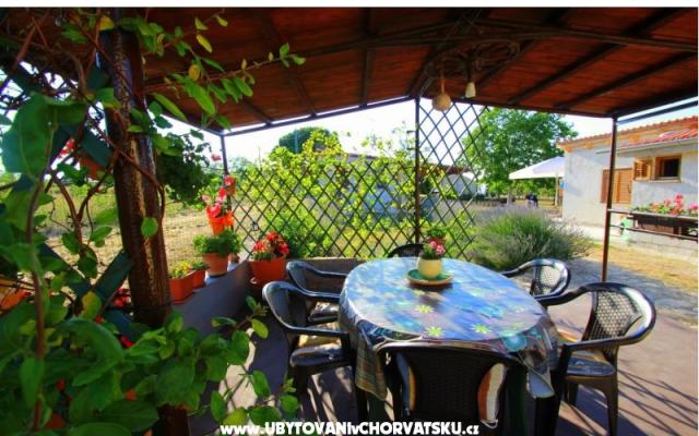 Appartement Sandra  – Hébergement Fazana Croatie