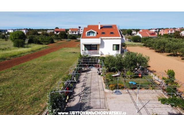 Appartements Marina – Hébergement Sv. Filip i Jakov Croatie