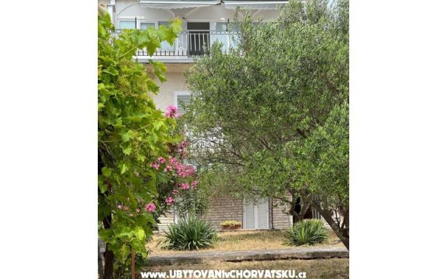 Appartements Maslina – Hébergement Sv. Filip i Jakov Croatie