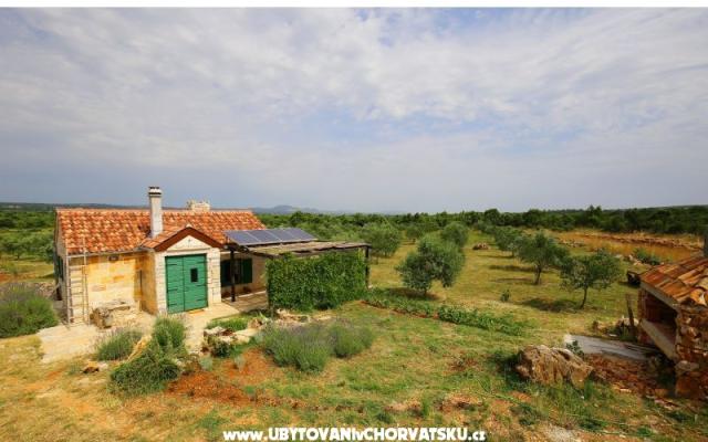 Olive Garden Paljka – Hébergement Sv. Filip i Jakov Croatie