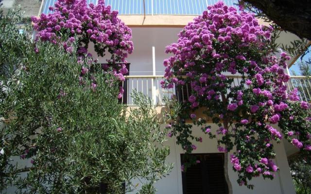 Appartement Gradac Falak – Hébergement Gradac – Podaca Croatie