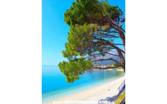 Appartements Helena – Hébergement Gradac – Podaca Croatie
