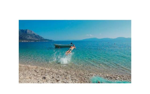 Goga – Hébergement Gradac – Podaca Croatie
