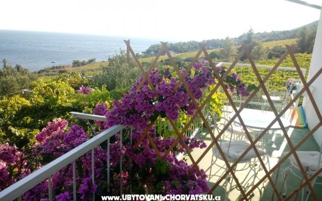 ART AND NATURE  – Hébergement île Hvar Croatie