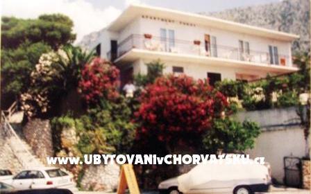 Vila Vinka – Hébergement Igrane Croatie