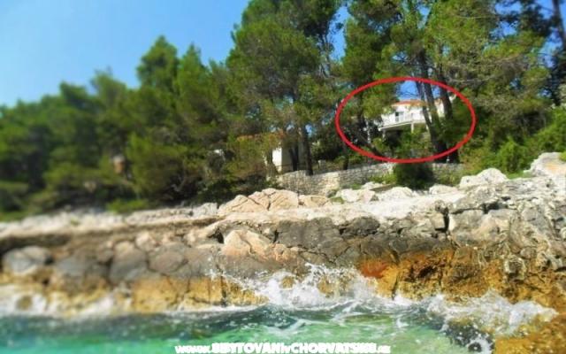 Apartmani Marica Pecotić  – Hébergement Korcula Croatie