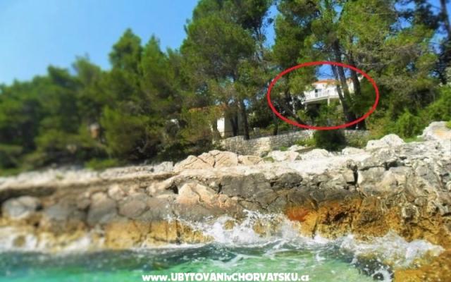 Appartements Marica P. – Hébergement Korcula Croatie