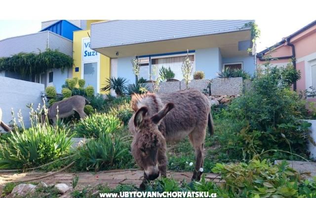 Villa Suzi – Hébergement Kraljevica Croatie
