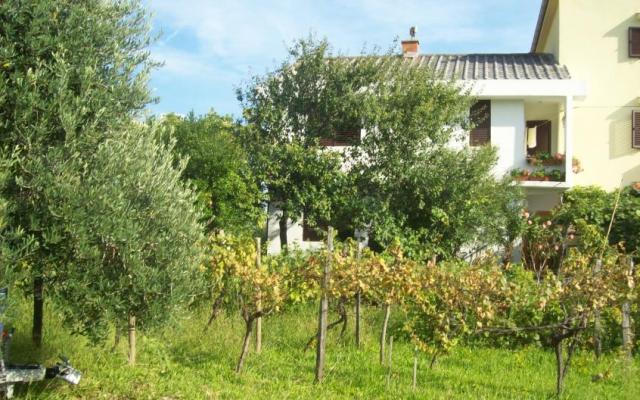 Appartements Vasilić – Hébergement île Krk Croatie