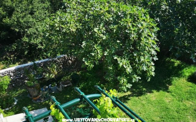 Apartmani Garden paradise – Hébergement Makarska Croatie