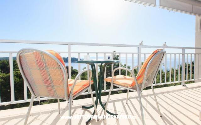 Appartements Veronika – Hébergement Makarska Croatie