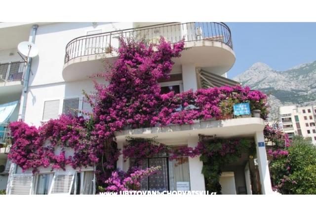 Appartements ANTE – Hébergement Makarska Croatie