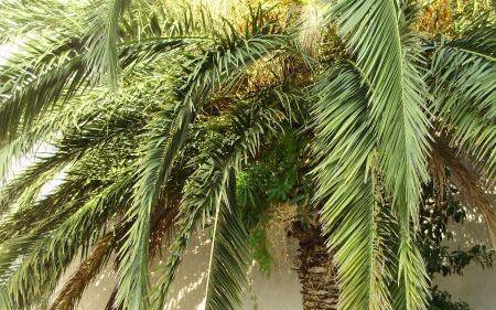 Silva apartments – Hébergement Makarska Croatie