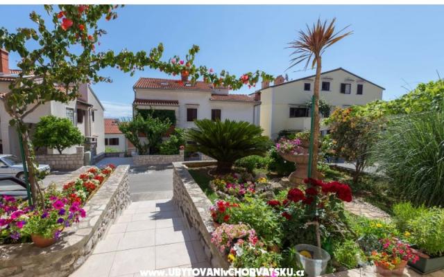Apartments Avvi – Hébergement île Mali Losinj Croatie