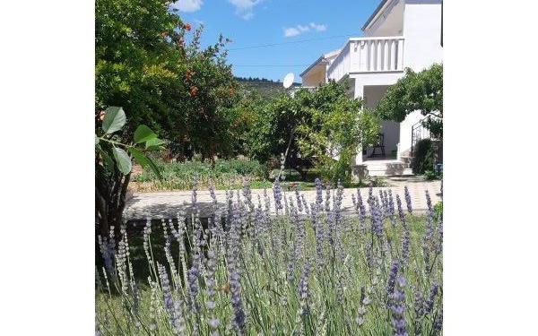 Slavko Šain – Hébergement Marina - Trogir Croatie