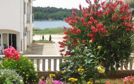 Appartements Soldo – Hébergement Medulin Croatie