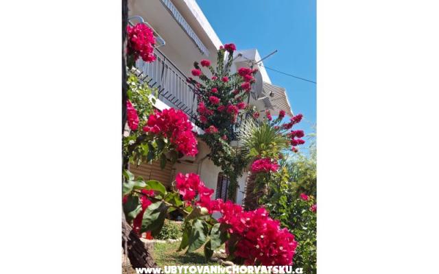 Appartements Sokolić – Hébergement Novi Vinodolski Croatie