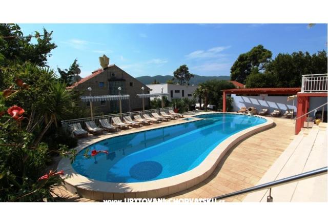 Appartements Villa Mediterrane – Hébergement Orebic – Peljesac Croatie