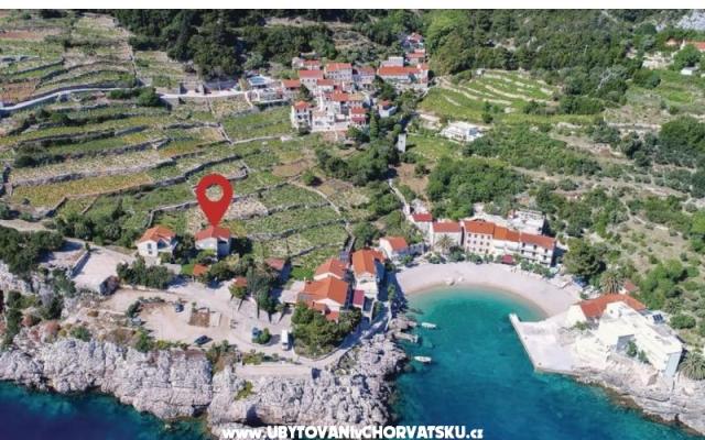 Two olive trees – Hébergement Orebic – Peljesac Croatie