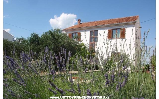 Appartements Blazenka – Hébergement île Pasman Croatie