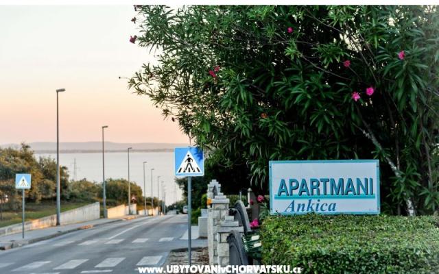 Appartements Ankica – Hébergement Petrcane Croatie