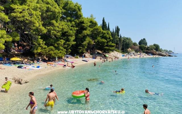 Villa Ana , one min walk to beach – Hébergement Pirovac Croatie